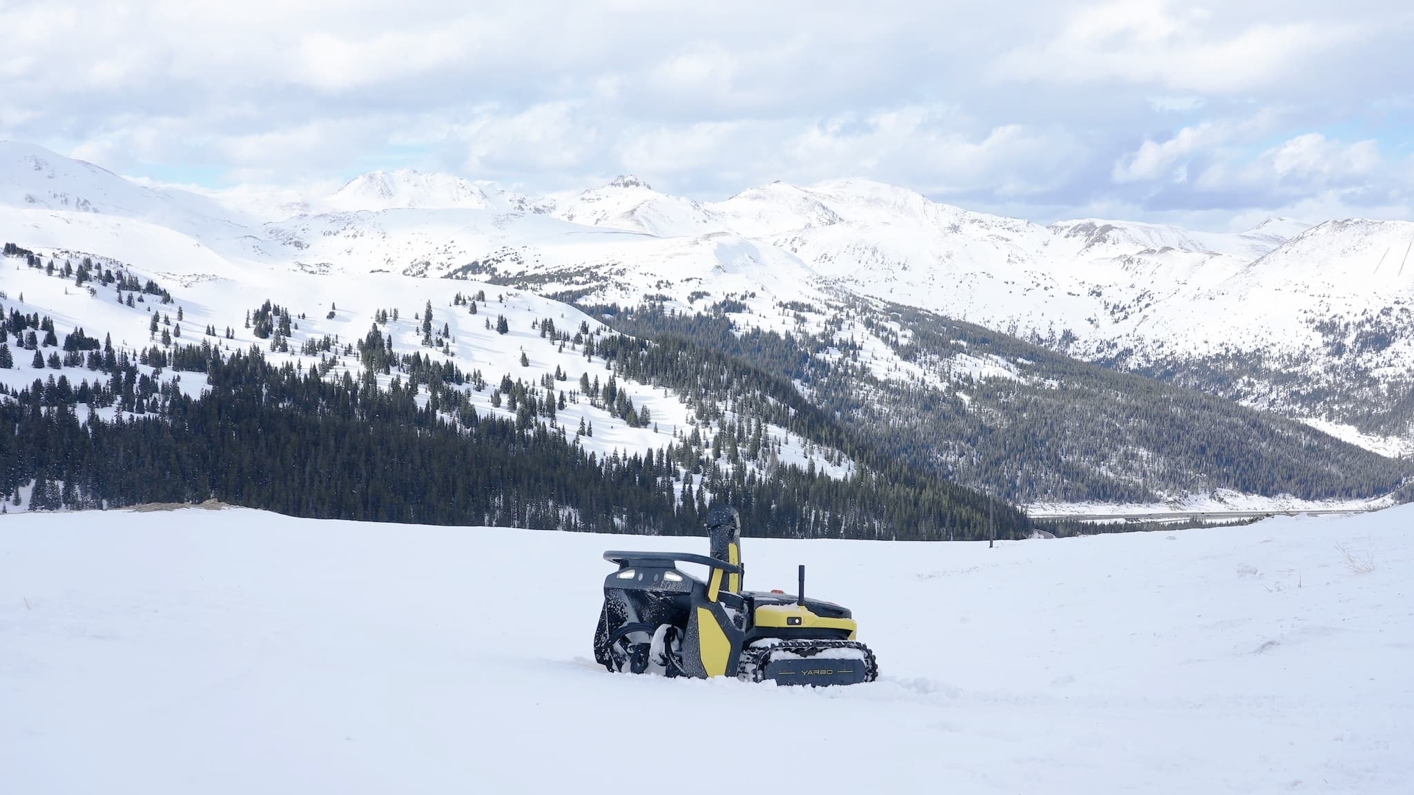 就在本周六！4万株桐花即将盛放！看漫山“飞雪”→(图1)
