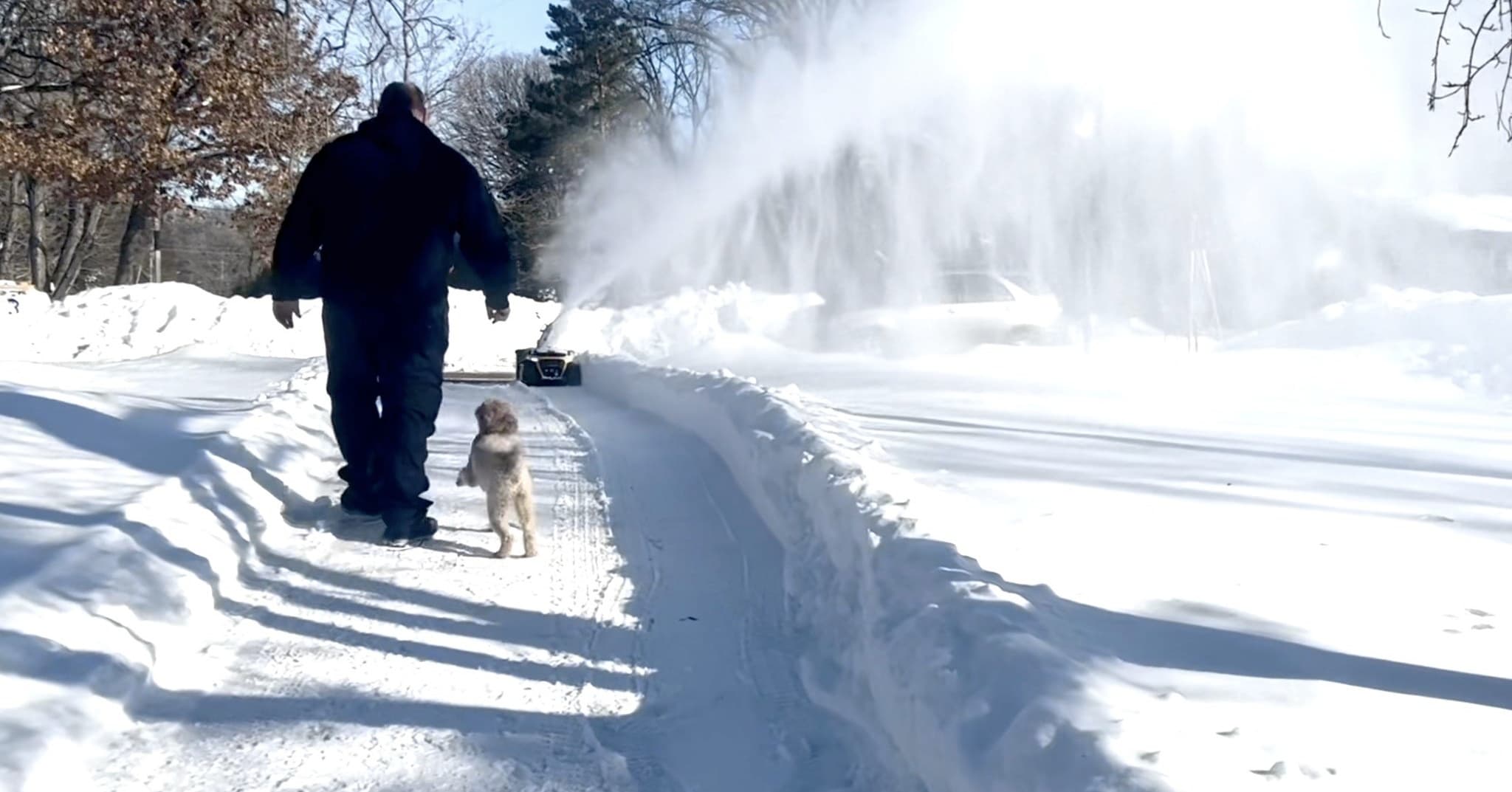 世界农化网(图1)