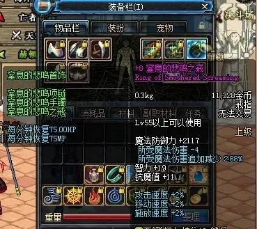 DNF悲鸣项链装备选择与实用性解析