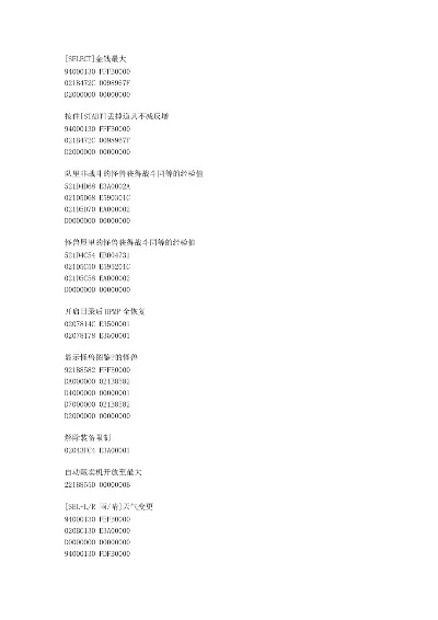 FC勇者斗恶龙5金手指代码大全分享