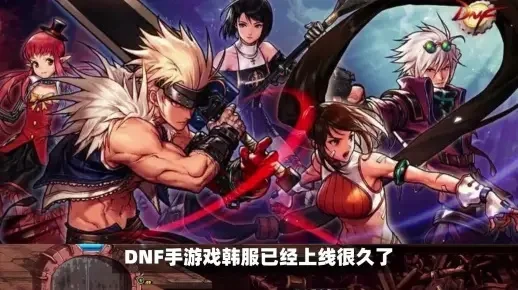 dnf手游没有中文了-辉煌不再遗憾长